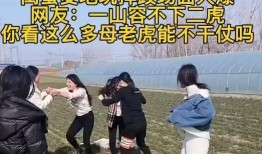 刘老师爆料麦田视频,真相背后引人深思